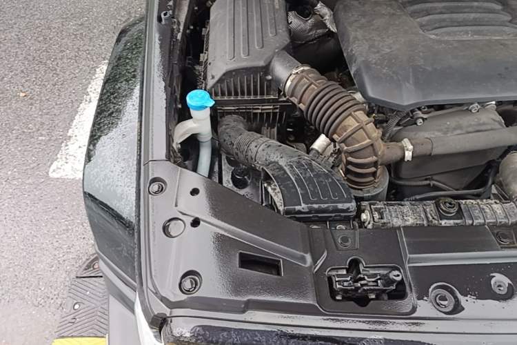 Used Tank 300 2023 City Edition 2.0T—Stylish as Ever Engine Bay Right