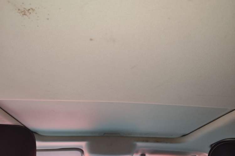 Used Tank 300 2023 Off-Road Edition 2.0T Conqueror Headliner