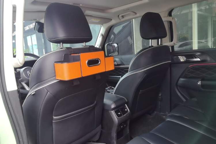 Used Tank 300 2023 City Edition 2.0T—Stylish as Ever Headliner