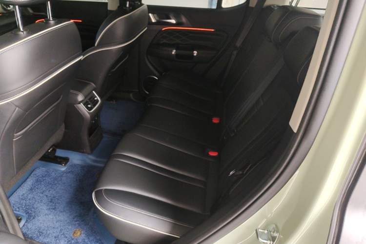 Used Tank 300 2023 2.0T Iron Rider 02 Left Rear Seat