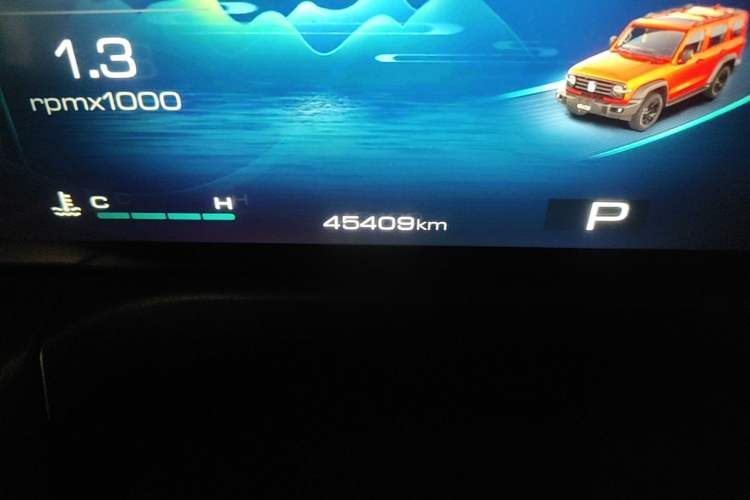 Used Tank 300 2023 2.0T Iron Rider 02 Odometer Close Up