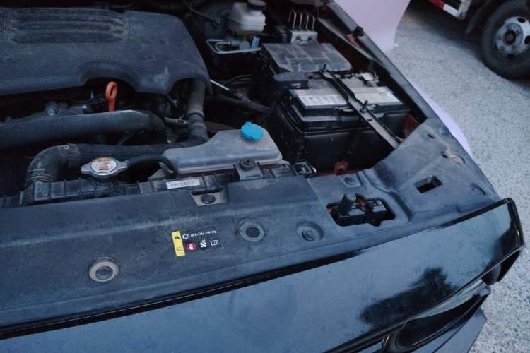 Used Tank 300 2023 City Edition 2.0T—Stylish as Ever Engine Bay Left