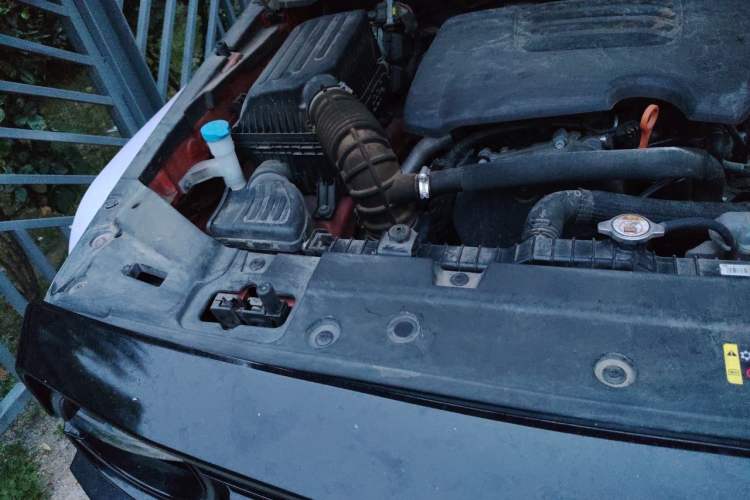 Used Tank 300 2023 City Edition 2.0T—Stylish as Ever Engine Bay Right