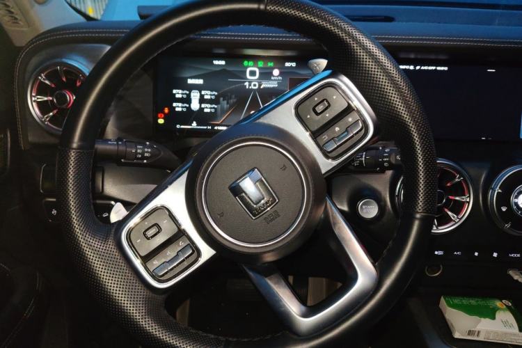 Used Tank 300 2023 City Edition 2.0T—Stylish as Ever Steering Wheel