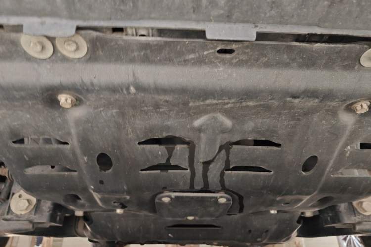 Used Tank 300 2023 Off-Road Edition 2.0T Challenger Chassis Front