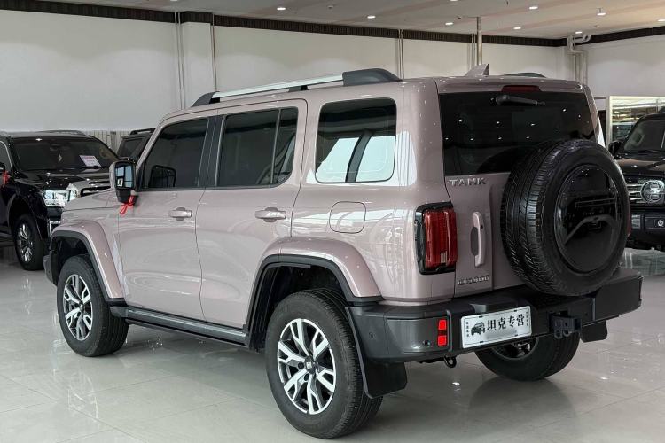 Used Tank 300 2023 City Edition 2.0T—Stylish as Ever Exterior 2