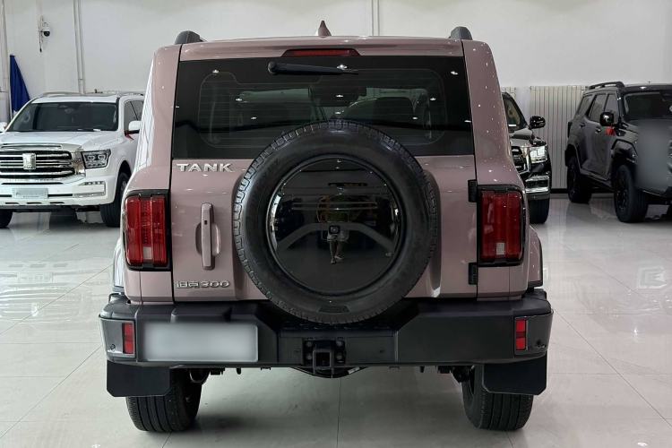 Used Tank 300 2023 City Edition 2.0T—Stylish as Ever Exterior 3