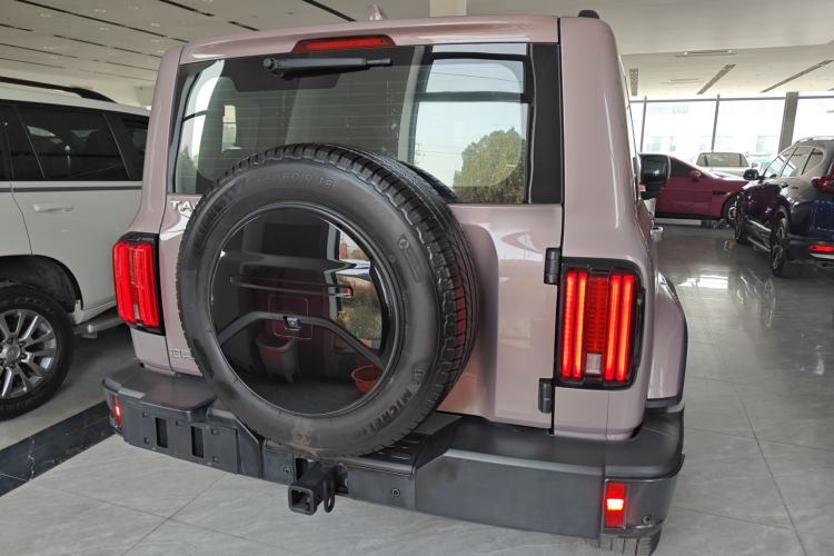 Used Tank 300 2023 City Edition 2.0T Essential Model Exterior 4