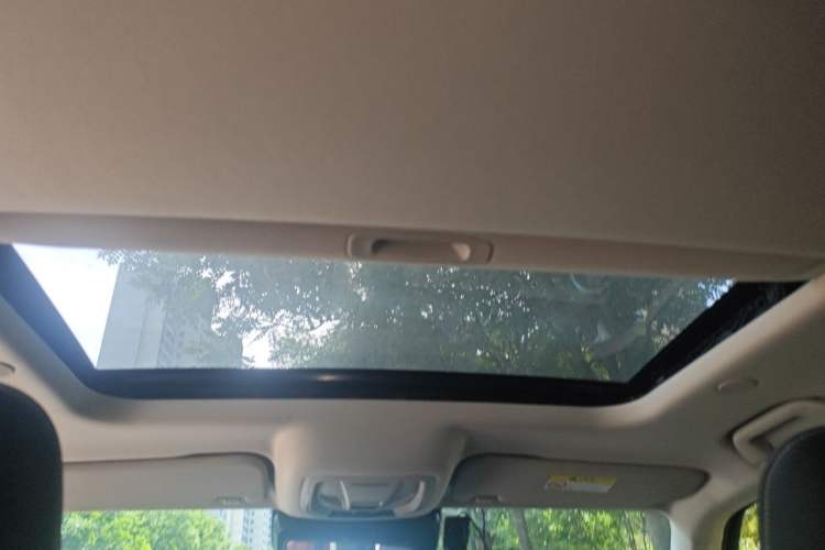 Used Tank 300 2023 City Edition 2.0T—Stylish as Ever Headliner