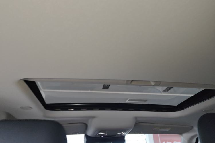 Used Tank 300 2023 City Edition 2.0T Essential Model Headliner