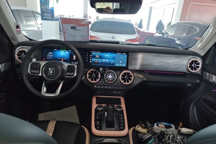 Used Tank 300 2023 City Edition 2.0T Essential Model Interior 2