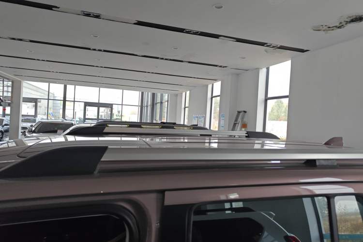 Used Tank 300 2023 City Edition 2.0T Essential Model Roof