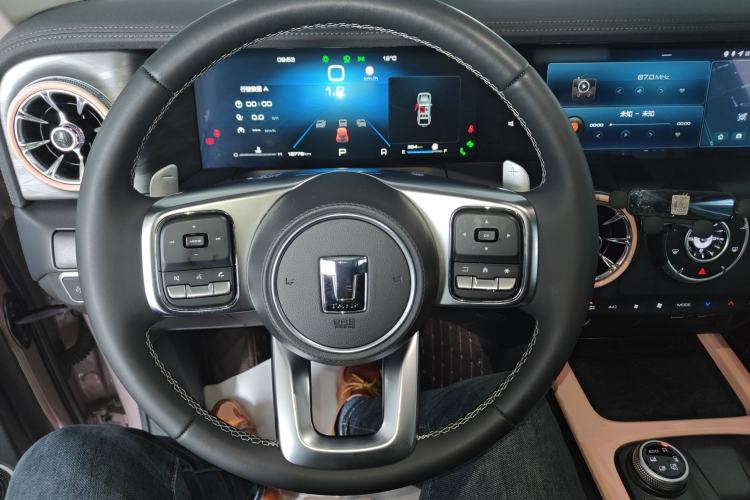 Used Tank 300 2023 City Edition 2.0T Essential Model Steering Wheel