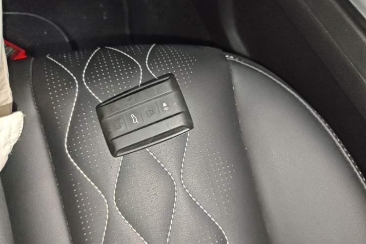 Used Tank 300 2023 Off-Road Edition 2.0T Challenger Vehicle Key