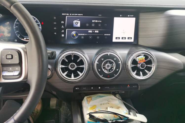 Used Tank 300 2023 Off-Road Edition 2.0T Conqueror Audio And AC Panel