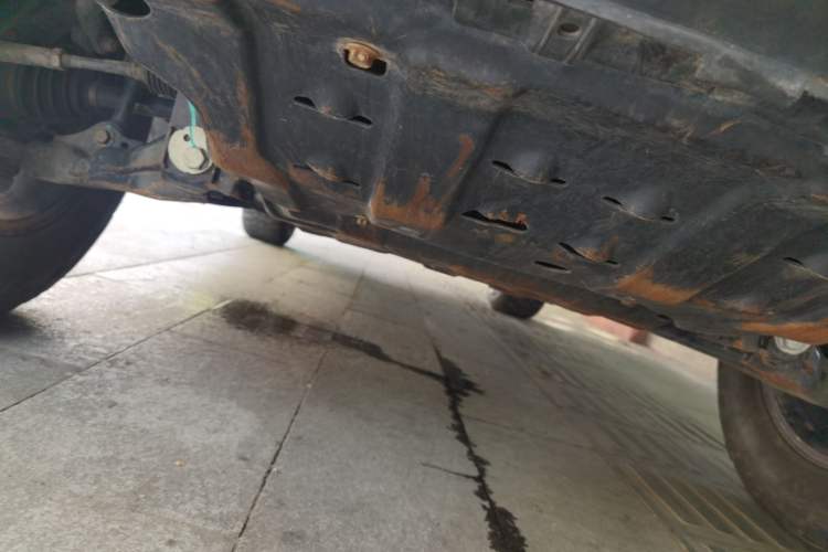 Used Tank 300 2023 Off-Road Edition 2.0T Conqueror Chassis Front