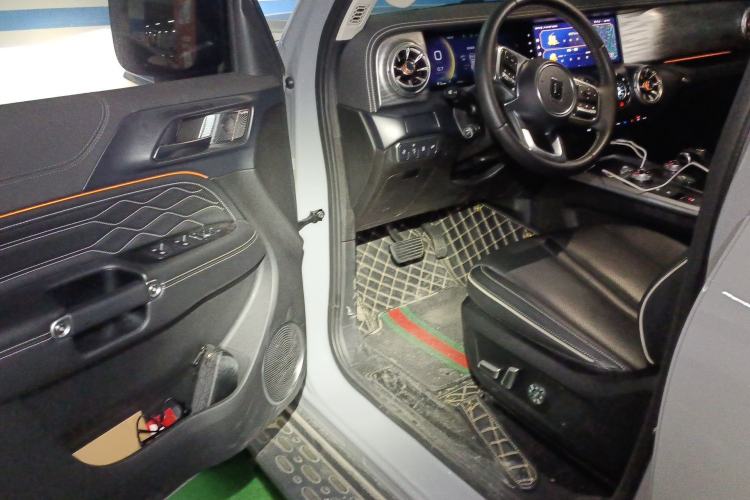 Used Tank 300 2023 Off-Road Edition 2.0T Conqueror Driver Seat