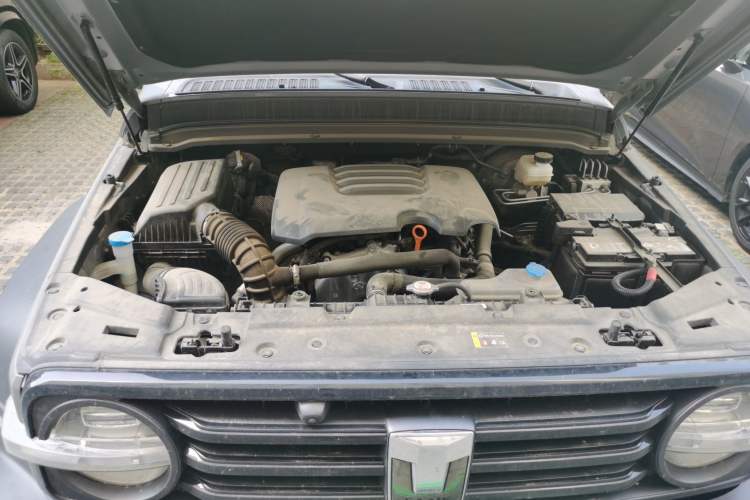 Used Tank 300 2023 Off-Road Edition 2.0T Conqueror Engine Bay