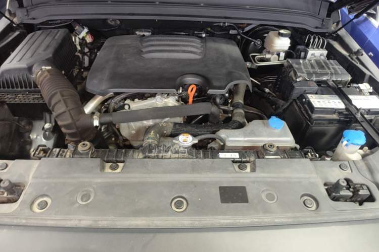 Used Tank 300 2023 2.0T Iron Rider 02 Engine Bay