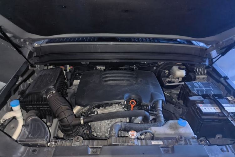 Used Tank 300 2023 Off-Road Edition 2.0T Conqueror Engine Bay