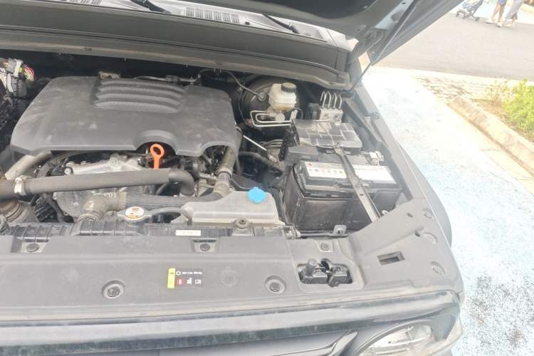 Used Tank 300 2023 Off-Road Edition 2.0T Conqueror Engine Bay Left