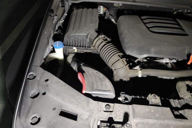 Used Tank 300 2023 Off-Road Edition 2.0T Conqueror Engine Bay Right