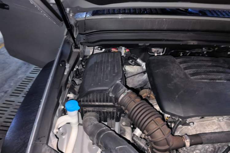 Used Tank 300 2023 Off-Road Edition 2.0T Conqueror Engine Bay Right