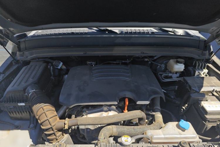 Used Tank 300 2023 2.0T Iron Rider 02 Engine Bay