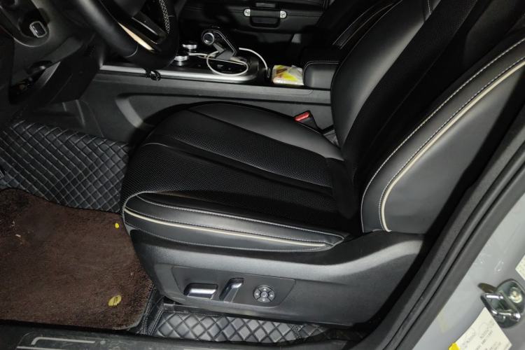 Used Tank 300 2023 Off-Road Edition 2.0T Conqueror Left Front Seat