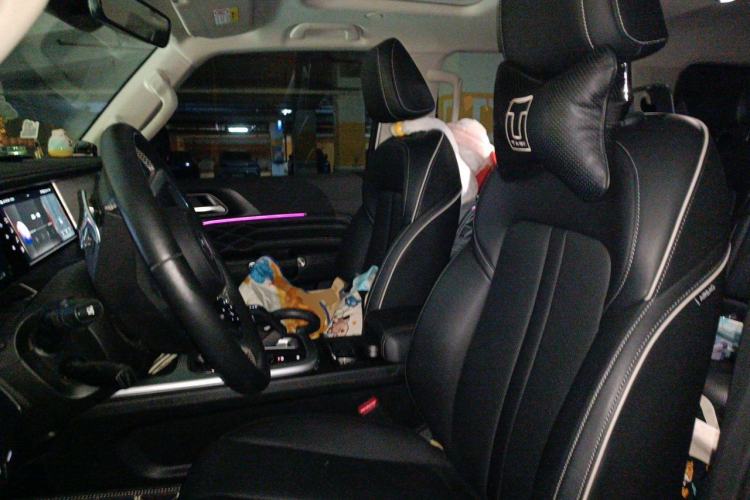 Used Tank 300 2023 City Edition 2.0T—Stylish as Ever Left Front Seat