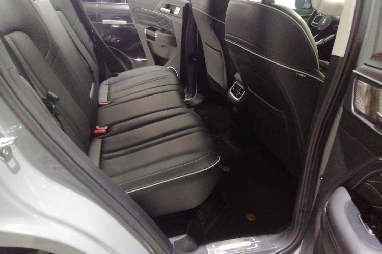 Used Tank 300 2023 2.0T Iron Rider 02 Left Rear Seat