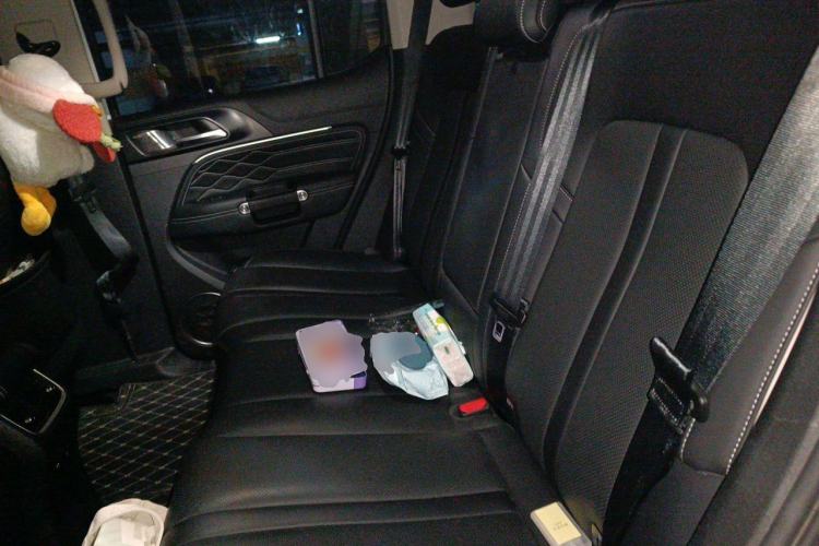 Used Tank 300 2023 City Edition 2.0T—Stylish as Ever Left Rear Seat