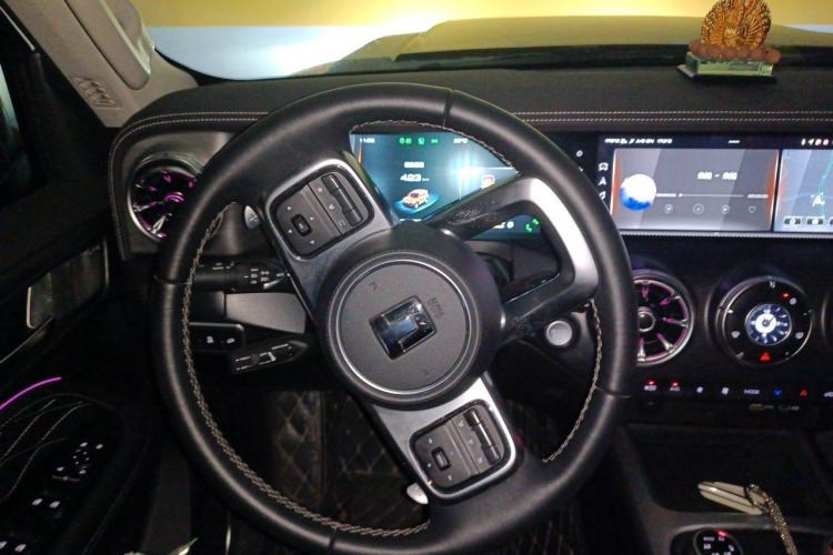 Used Tank 300 2023 City Edition 2.0T—Stylish as Ever Steering Wheel