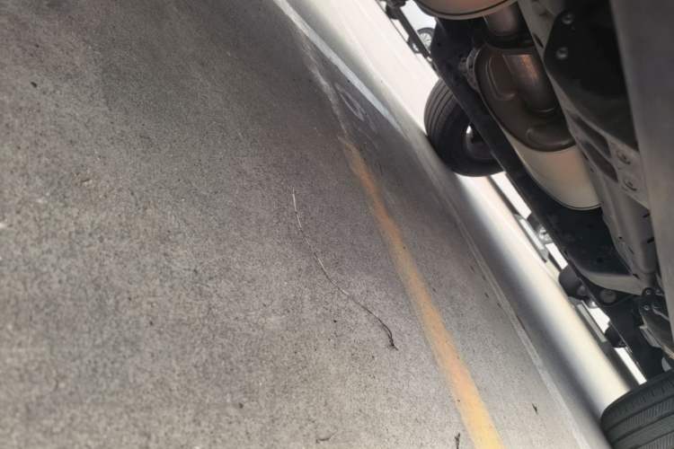 Used Tank 300 2023 City Edition 2.0T—Stylish as Ever Chassis Rear Right