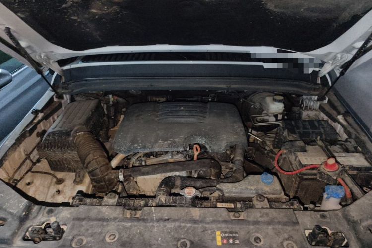 Used Tank 300 2023 2.0T Iron Rider 02 Engine Bay
