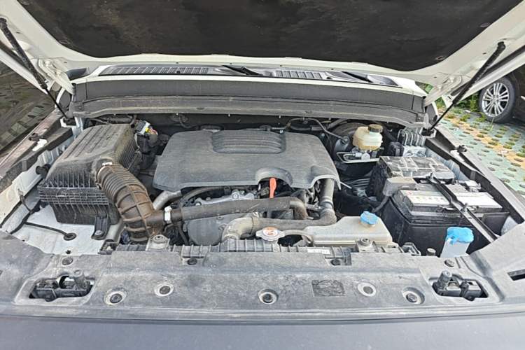 Used Tank 300 2023 2.0T Iron Rider 02 Engine Bay
