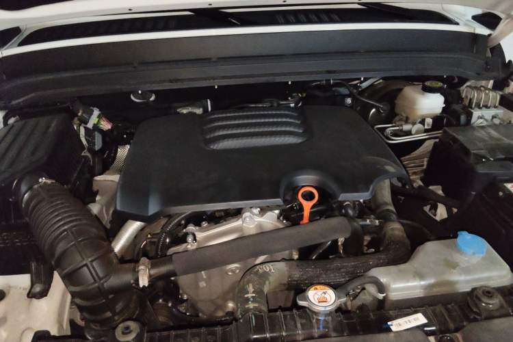 Used Tank 300 2023 2.0T Iron Rider 02 Engine Bay