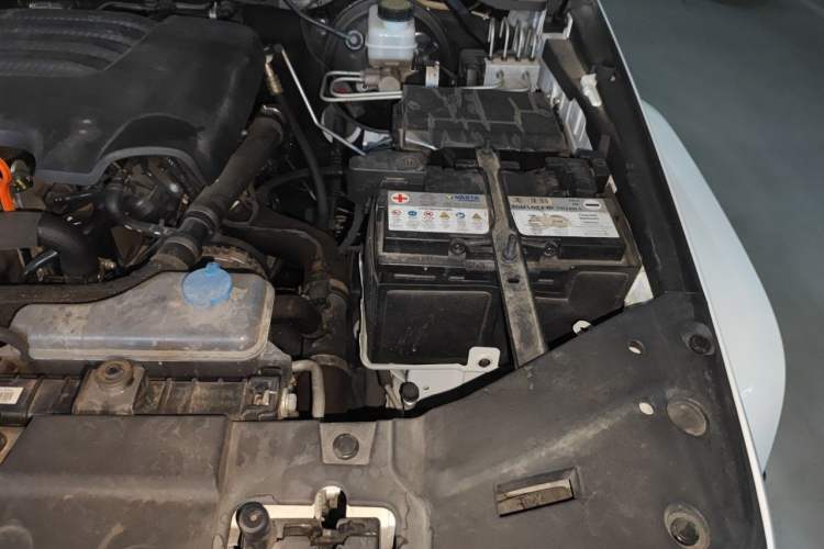 Used Tank 300 2023 City Edition 2.0T—Stylish as Ever Engine Bay Left