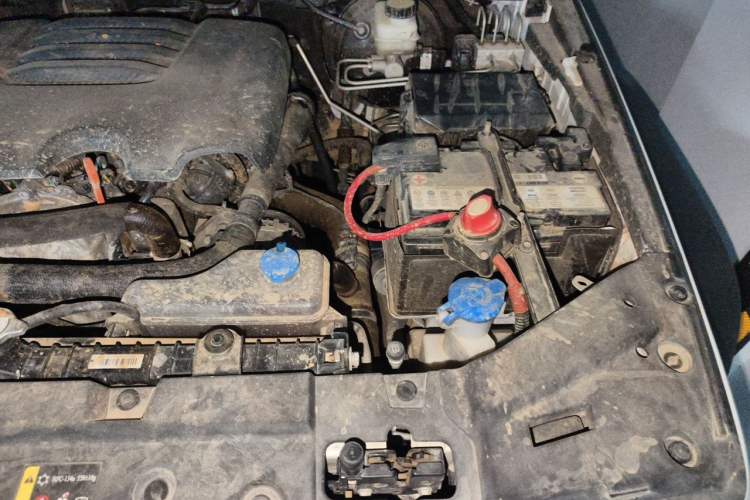 Used Tank 300 2023 2.0T Iron Rider 02 Engine Bay Left