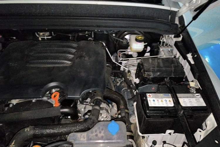 Used Tank 300 2023 City Edition 2.0T—Stylish as Ever Engine Bay Left