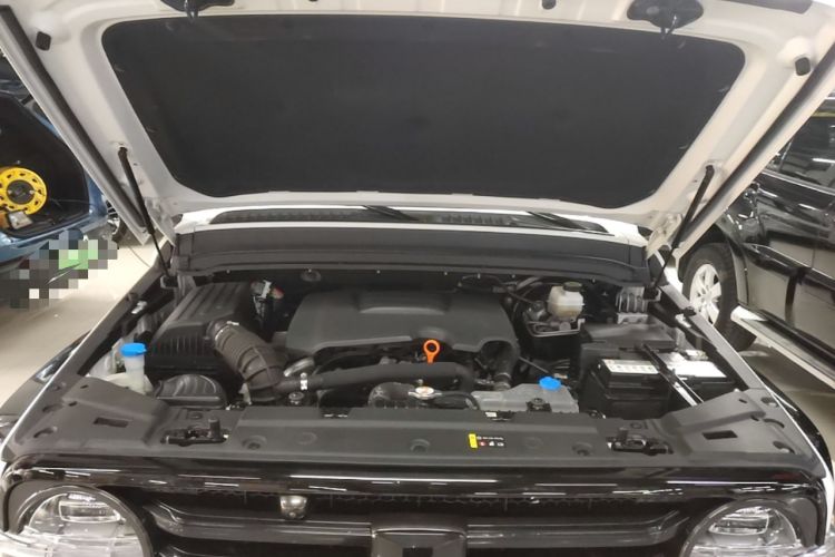 Used Tank 300 2023 City Edition 2.0T—Stylish as Ever Engine Bay