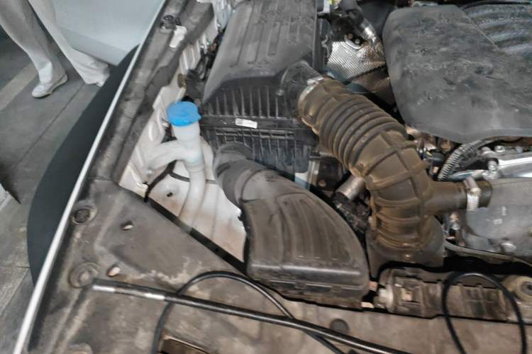 Used Tank 300 2023 Off-Road Edition 2.0T Conqueror Engine Bay Right
