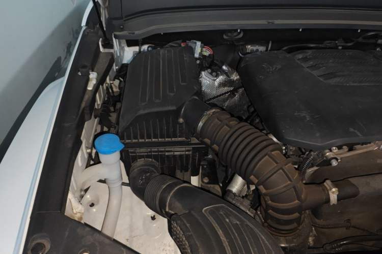 Used Tank 300 2023 City Edition 2.0T—Stylish as Ever Engine Bay Right
