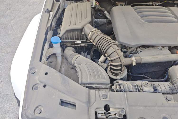 Used Tank 300 2023 City Edition 2.0T—Stylish as Ever Engine Bay Right