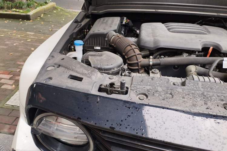 Used Tank 300 2023 Off-Road Edition 2.0T Challenger Engine Bay Right