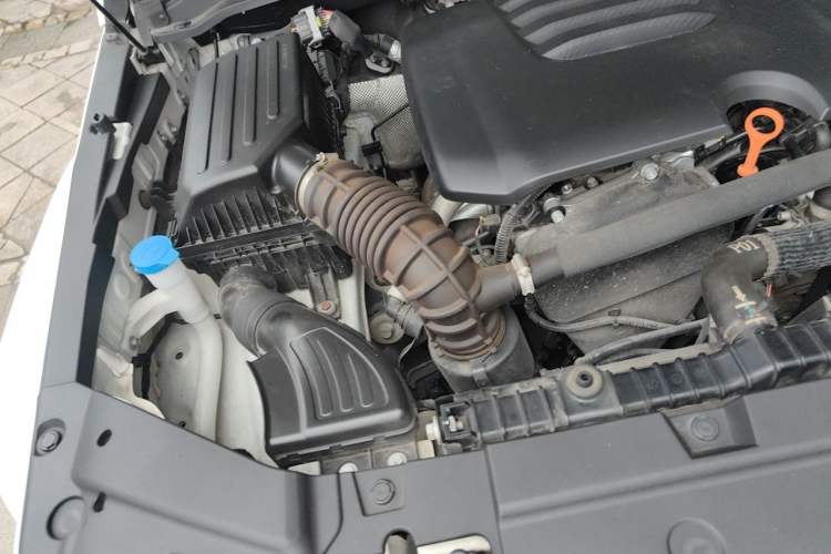 Used Tank 300 2023 City Edition 2.0T—Stylish as Ever Engine Bay Right