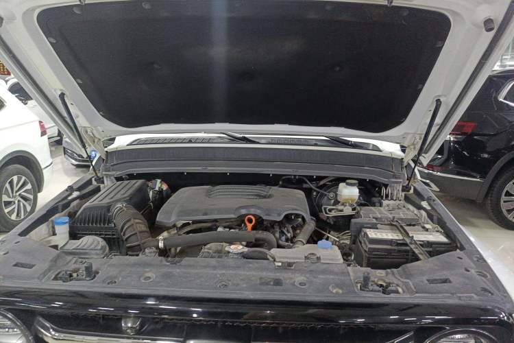 Used Tank 300 2023 City Edition 2.0T My Vision Model Engine Bay