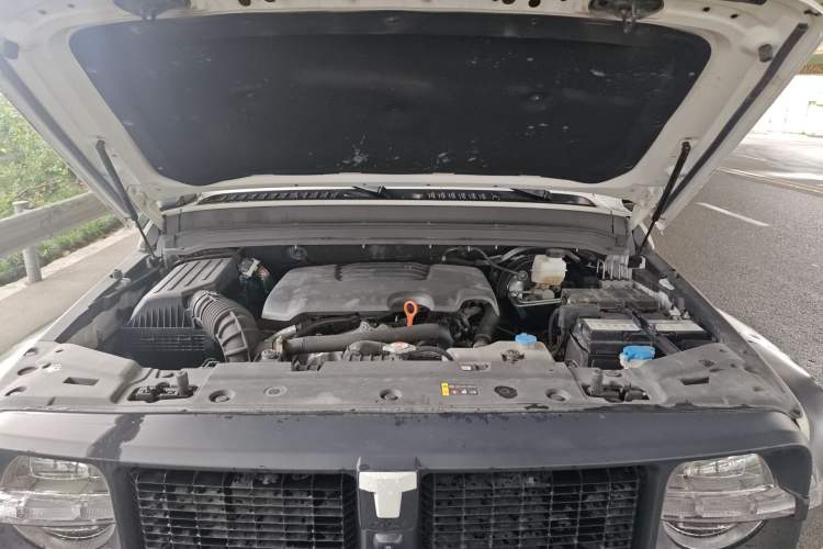 Used Tank 300 2023 2.0T Iron Rider 02 Engine Bay