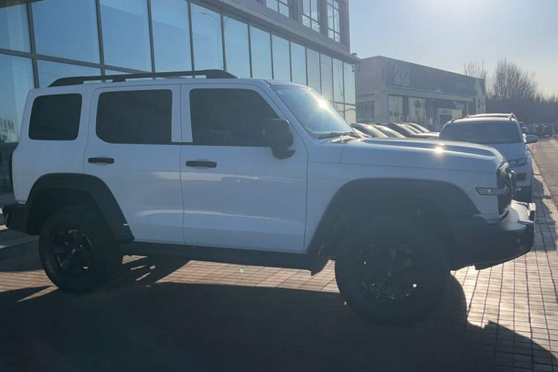 Used Tank 300 2023 Off-Road Edition 2.0T Conqueror Exterior 2