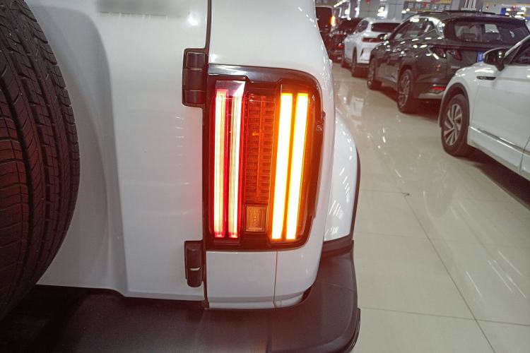 Used Tank 300 2023 City Edition 2.0T My Vision Model Exterior 6